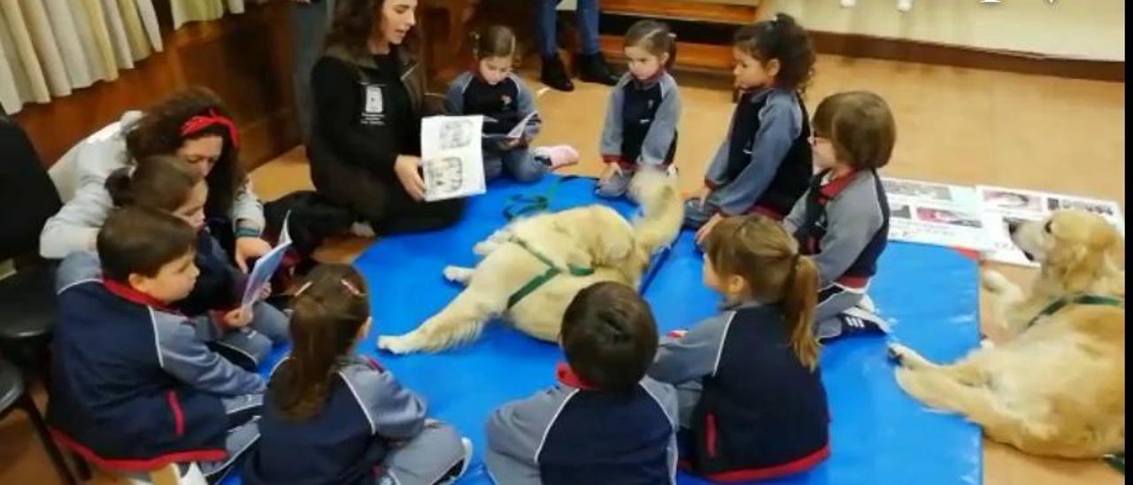 Mascotas | Cuidar y respetar a los animales, nueva "asignatura" en los coles de Pontevedra