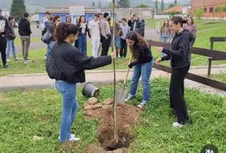 El "árbol de la princesa" recordará a la última promoción de bachilleres del César Rodríguez:  "Inician nuevos caminos, pero dejan sus raíces aquí"
