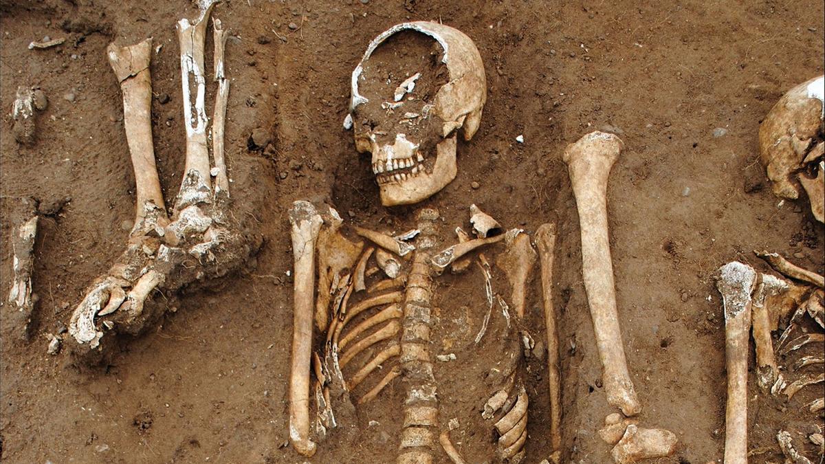 Black Plague Bacteria Found in Remains of Man at Besora Castle in Osona