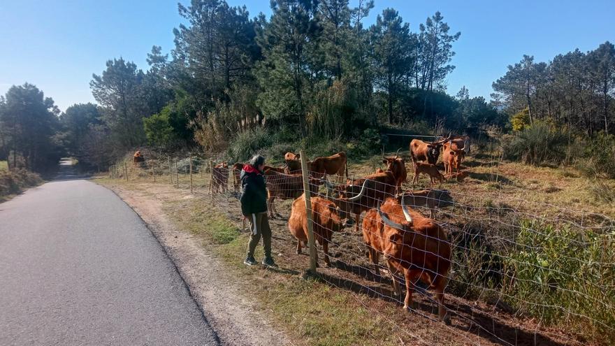 Los comuneros quieren &quot;concentrar&quot; el monte