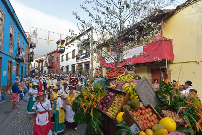 Carretas y grupos en la romería del Pino