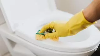 Esto es lo que sucede cuando pones un diente de ajo en el inodoro