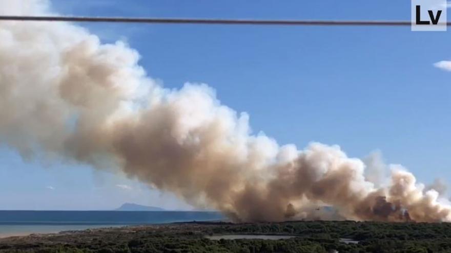Los medios áereos intentan sofocar las llamas en el parque natural de l'Albufera
