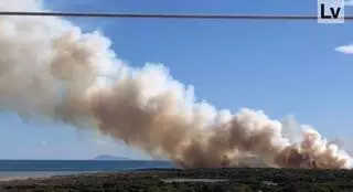 Controlado el incendio forestal declarado este sábado en El Saler