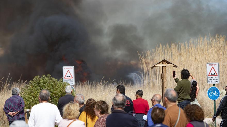 Un incendi devora el delta del riu a Sagunt