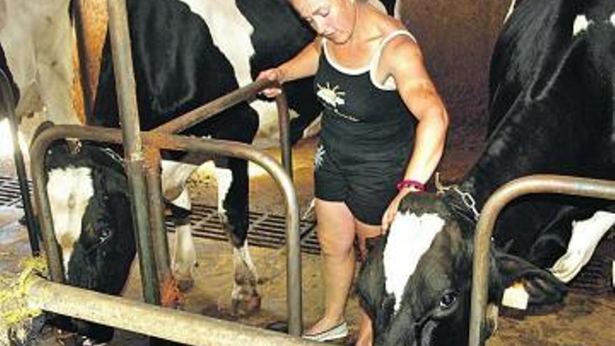 Cristina García, con algunas de las vacas de su ganadería.