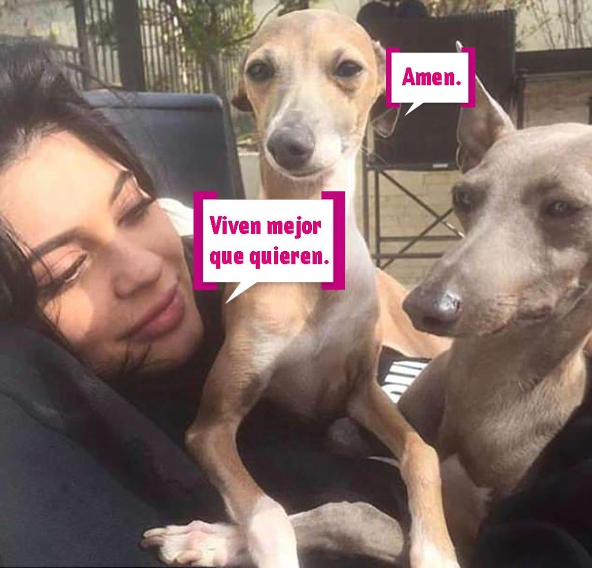 Kylie Jenner y sus perros