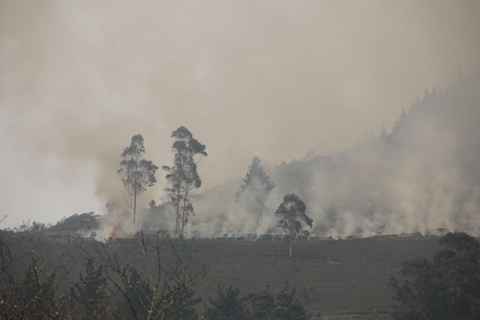 Incendio en la zona de Ques en Piloña