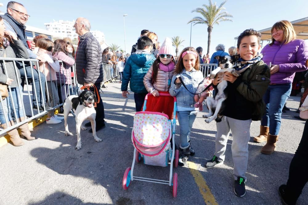 Día grande en Sant Antoni