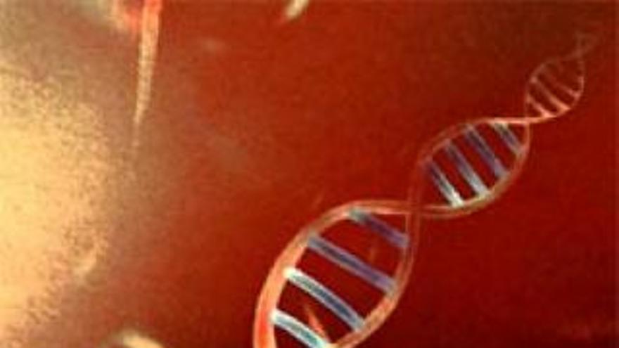 La Justicia de EEUU rechaza que se pueda patentar ADN