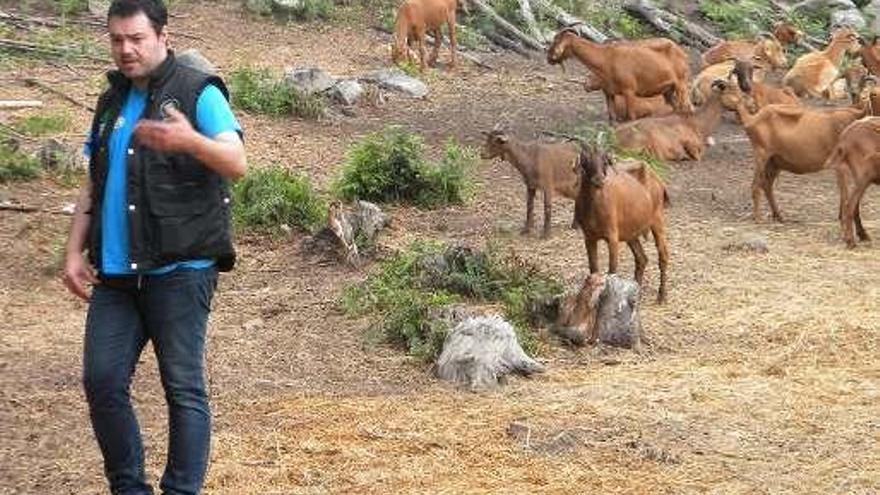 Carlos Rodríguez: &quot;Con la marca Pastores de Galicia queremos profesionalizar el sector&quot;