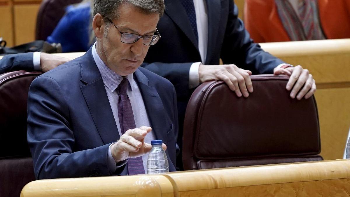 El presidente del Partido Popular, Alberto Núñez Feijóo, en el Senado.