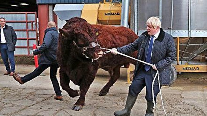 Boris Johnson, en una visita a una granja escocesa