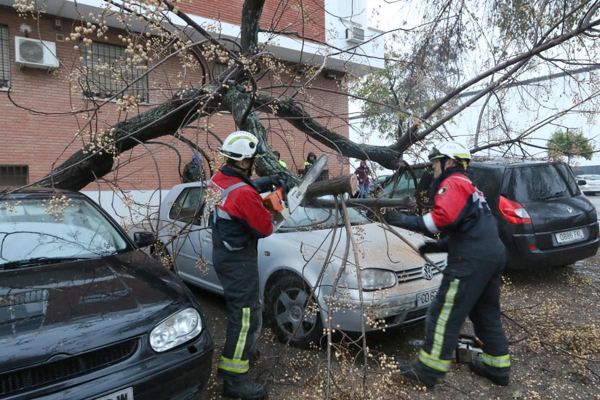 La borrasca 'Ana' deja su huella en Córdoba