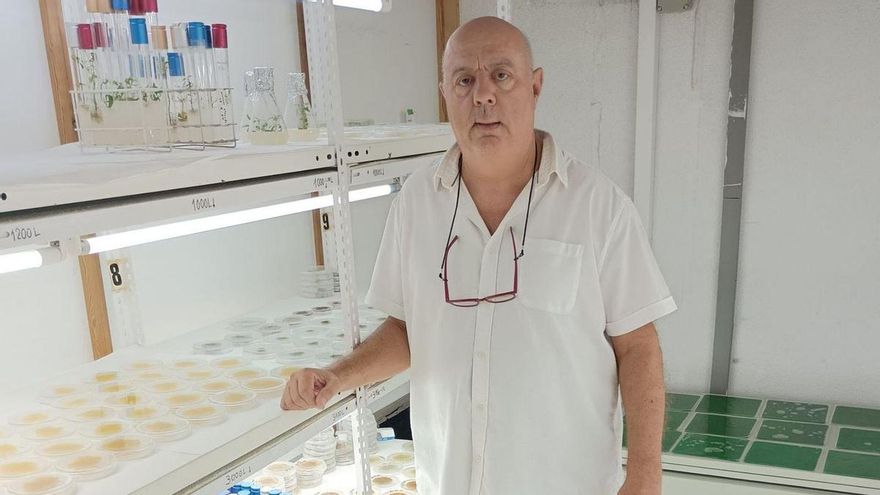 Marino Bañón Arnao: &quot;Nuestro fitorregulador natural podría reducir las pérdidas de cultivos&quot;