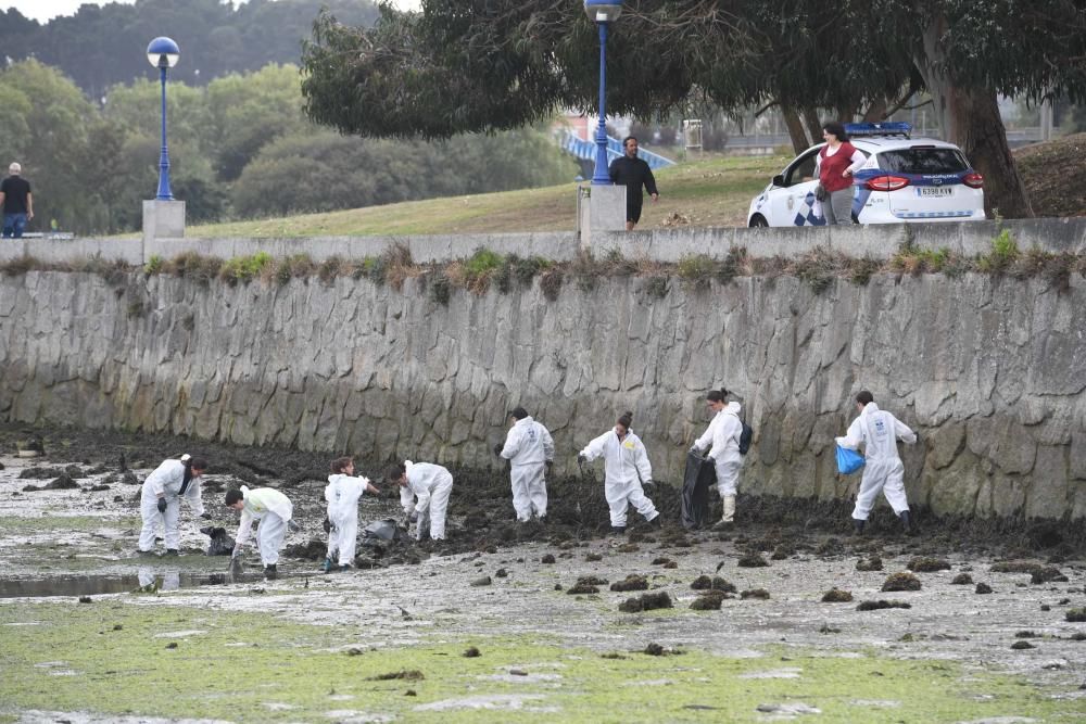 Gran limpieza de la ría de O Burgo