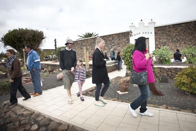 FUERTEVENTURA .  - CASA MANE - LA OLIVA -