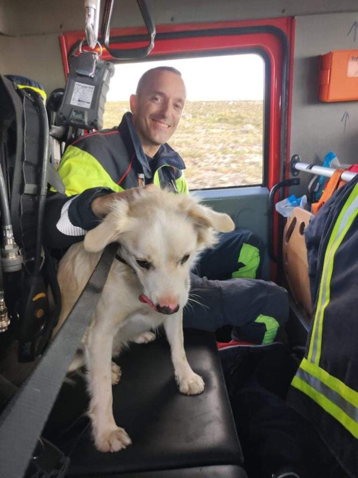 Perro rescatado de un depósito vacío en el municipio de San Bartolomé de Tirajana