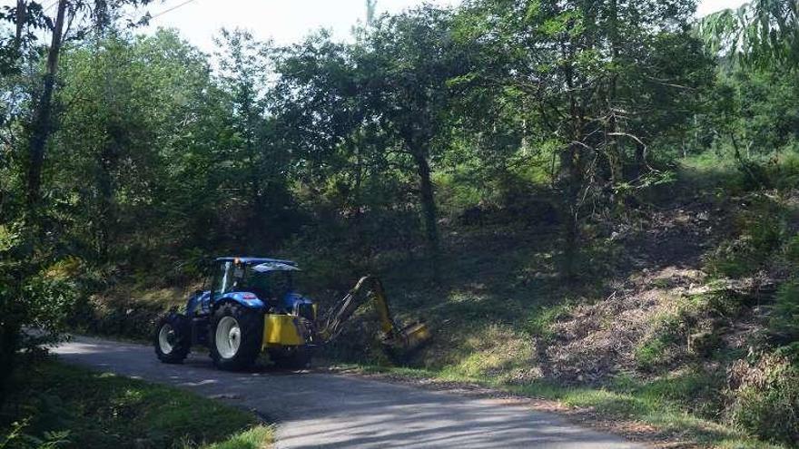 Desbrozadora trabajando en un vial de la comarca. // G.Núñez