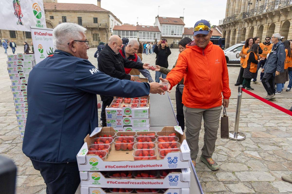 Reparten fresas de Huelva en la plaza del Obradoiro para promover su "calidad y garantía"