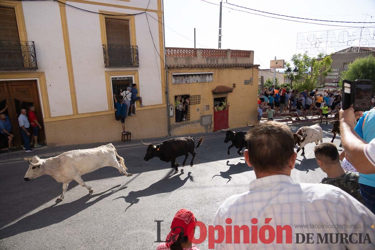 Quinto encierro Moratalla