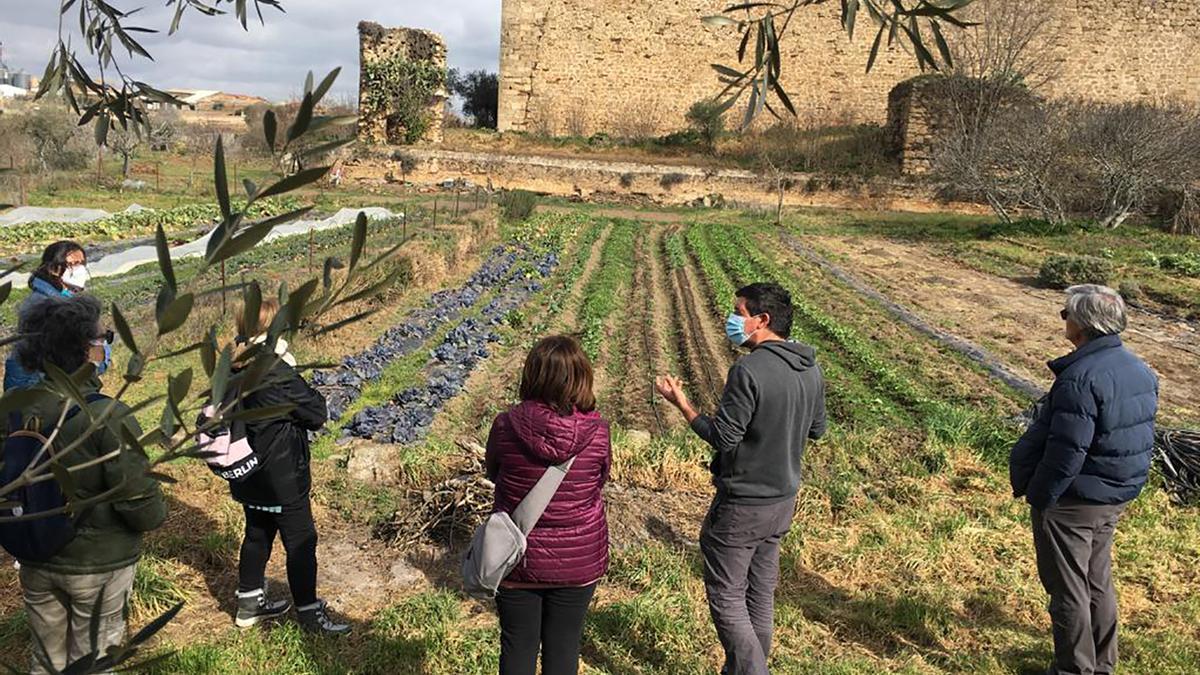 Ruta Sabor con Historia, huerta la Mangurria junto al Castillo de los Herrera.