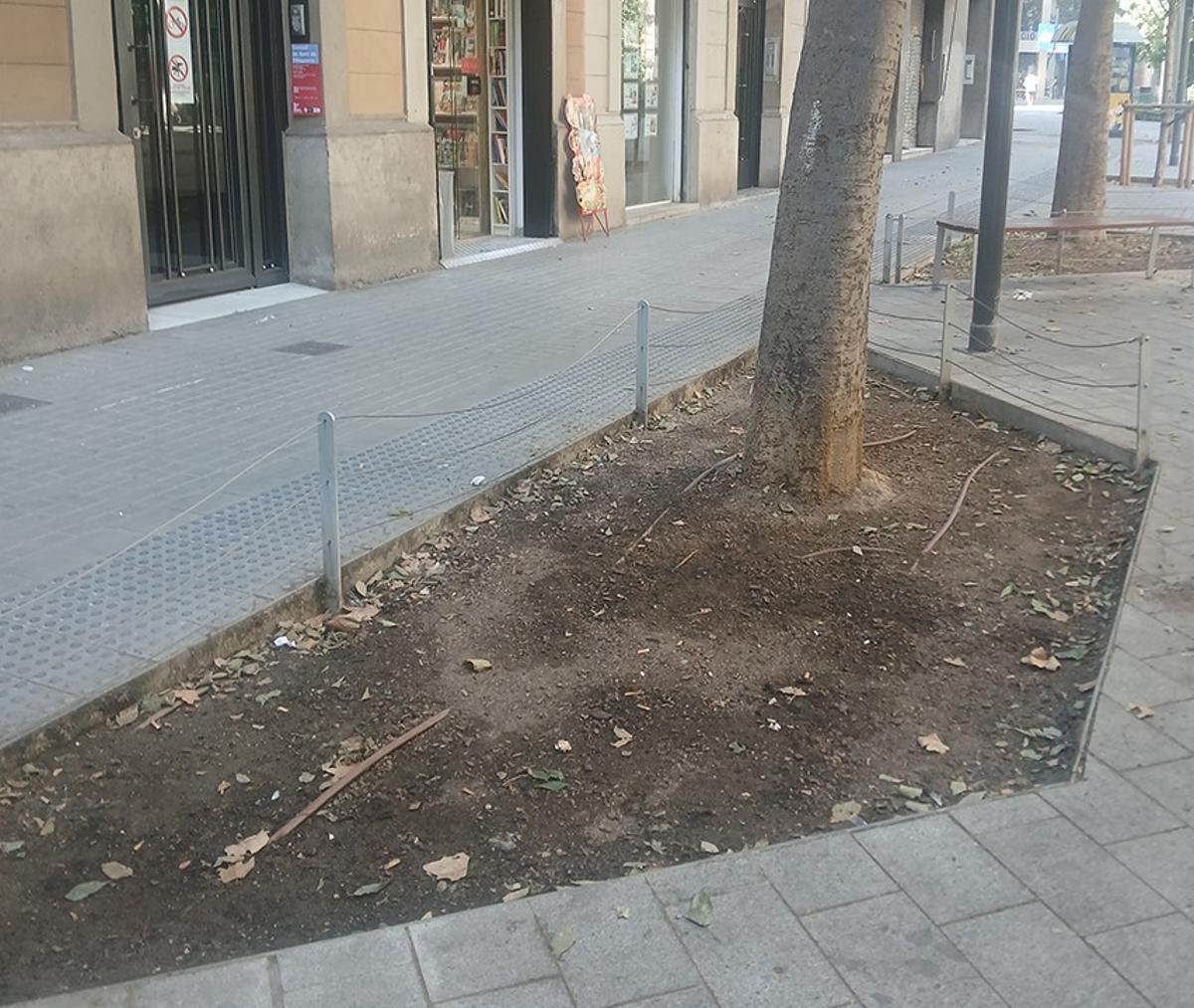 Parterre sin plantas en la superilla de Rocafort con Consell de Cent Parterre sin plantas en la superilla de Rocafort con Consell de Cent