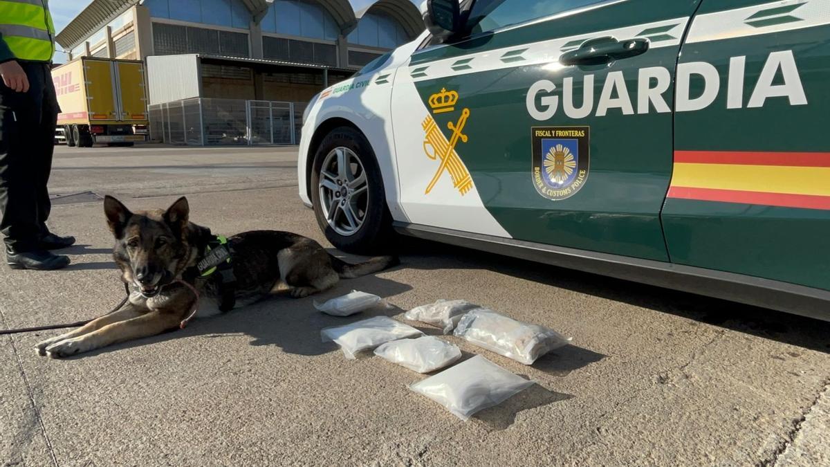 VÍDEO | Este es el perro antidroga que señaló la maleta con dos kilos de cocaína y dos de metanfetamina en el puerto de Palma