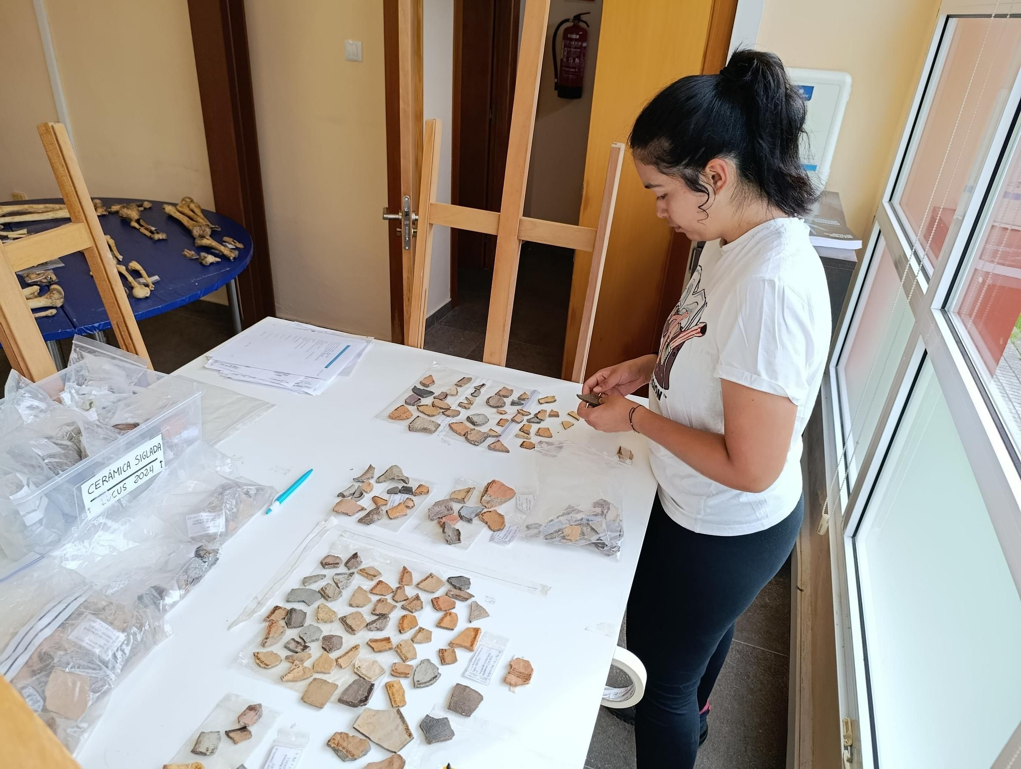 Así se trabaja en el laboratorio de "Lucus Asturum" en Villabona