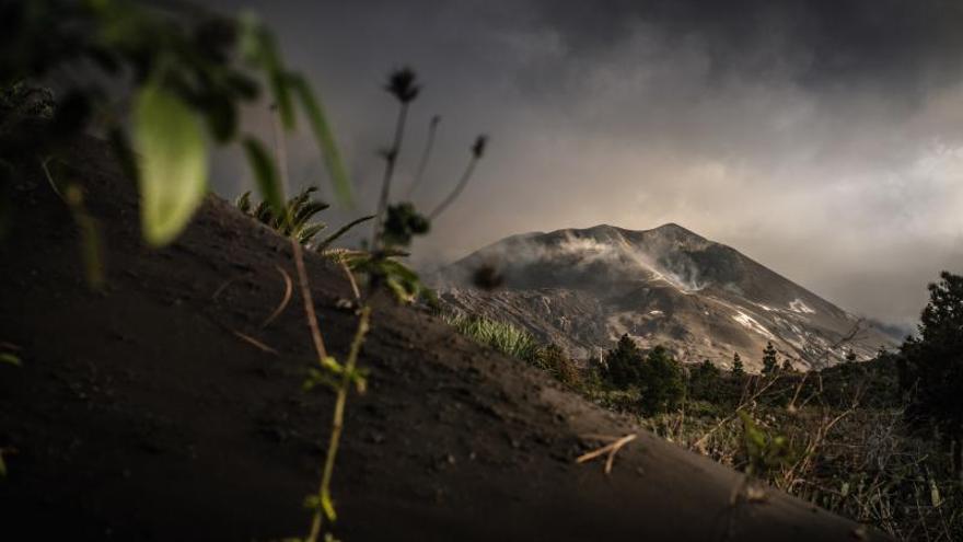 El volcán de La Palma (17/12/21)