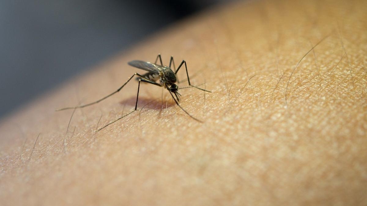 Así es el 'bolígrafo' de Bite Away que alivia las picaduras de mosquitos sin químicos