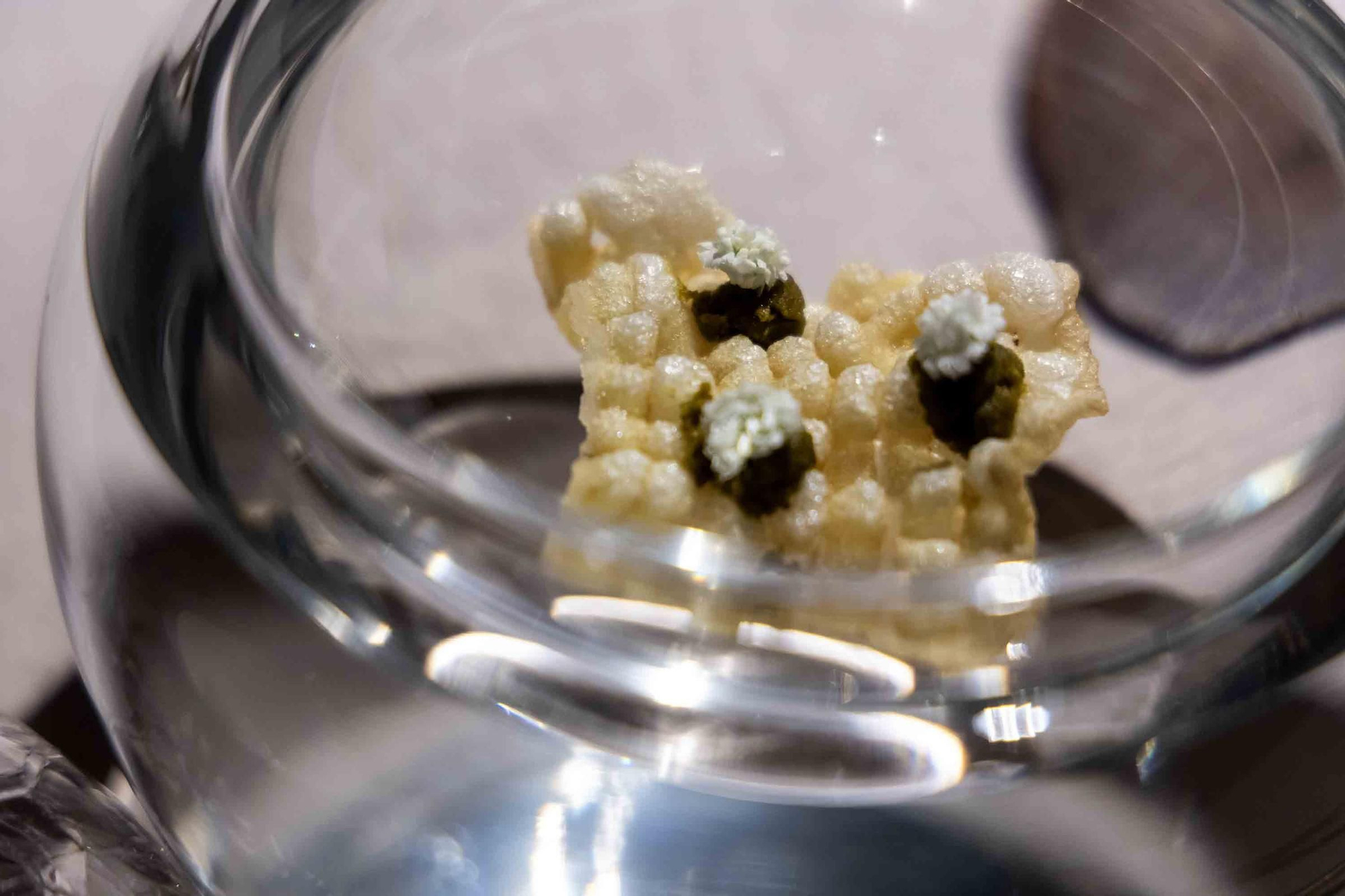 Espacio Montoro muestra su evolución en la alta cocina con producto alicantino