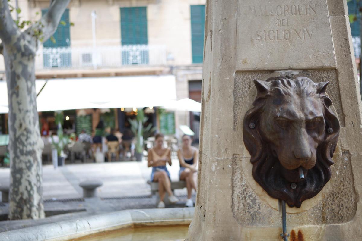 Die Plaça de la Drassana lädt zum Verweilen ein.
