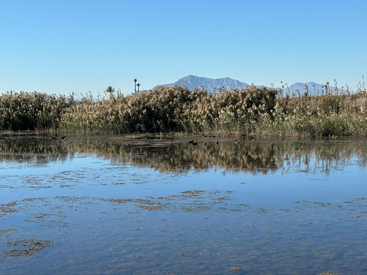 Los cazadores destacan que ellos cuidan de sus charcas para favorecer la presencia de aves