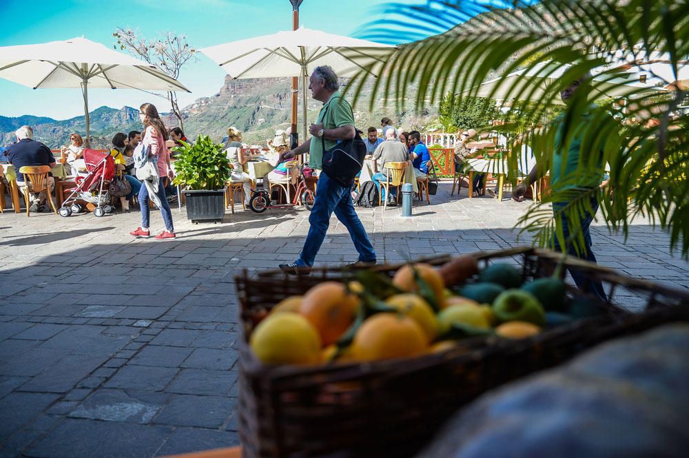 AMBIENTE TURISTAS EN TEJEDA