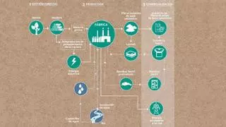 Greenfiber lanza una web de la fábrica de Altri en la que niega ser una celulosa para papel