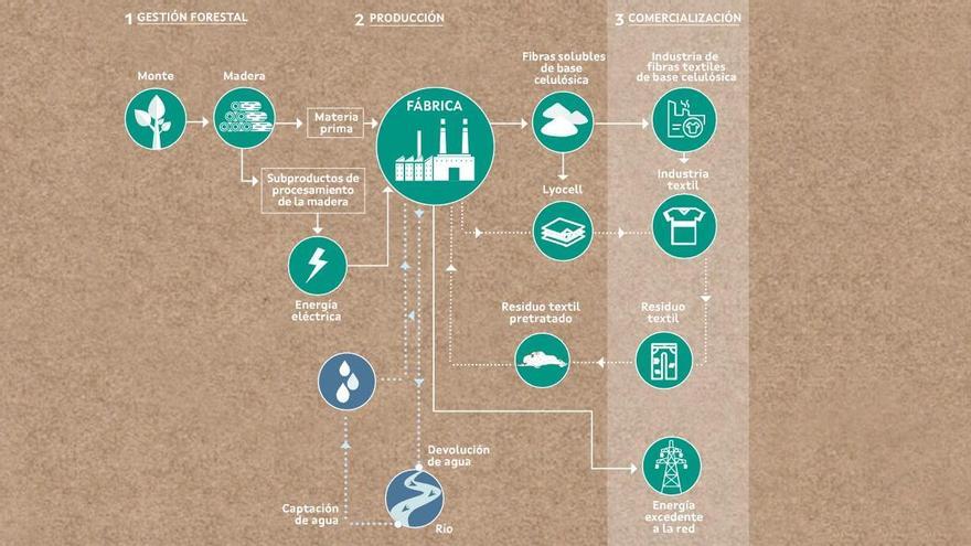 Greenfiber lanza una web de la fábrica de Altri en la que niega ser una celulosa para papel