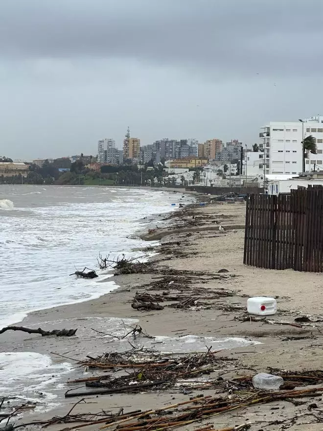 Fotogalería | Estado de la playa del Rinconcillo (Algeciras) tras el paso de la borrasca 'Francis'