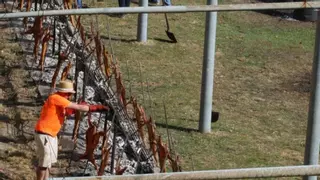 Chenlo asa cien cabritos en una nueva edición de su fiesta