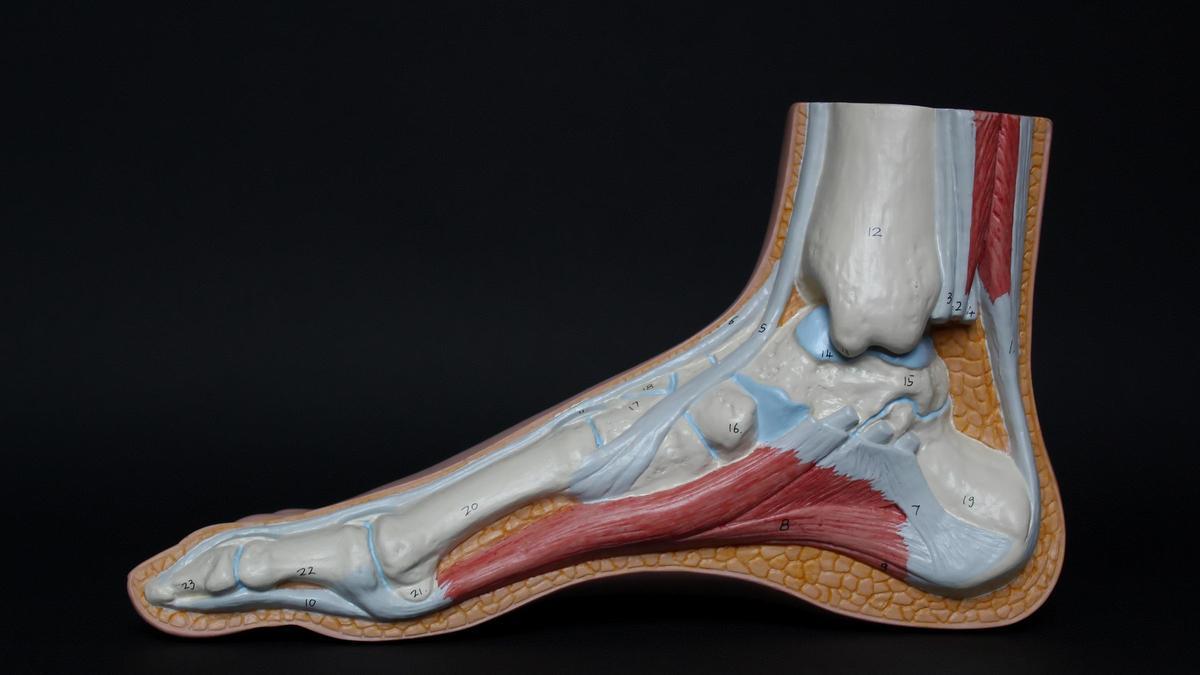 El estrés puede provocar fracturas en los pies, y más en estas fechas
