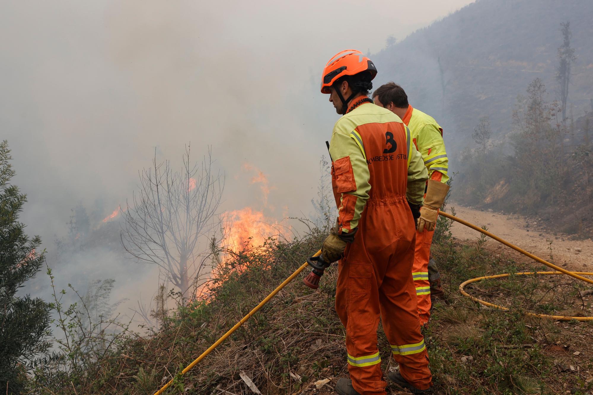 Dura lucha contra los incendios de Tineo y Valdés