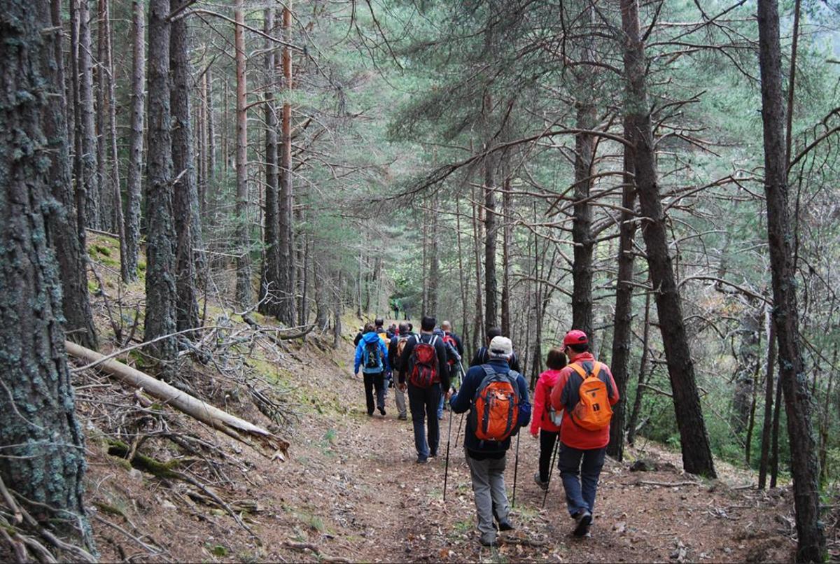 Una activitat de senderisme al Camí de la Sal