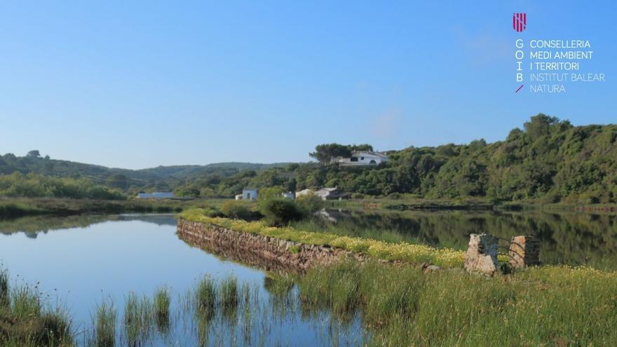 Passejada guiada per sAlbufera des Grau