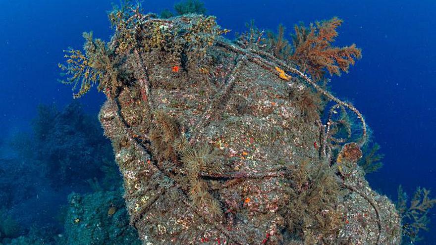 La pesca submarina y los daños producidos en los corales - isauki