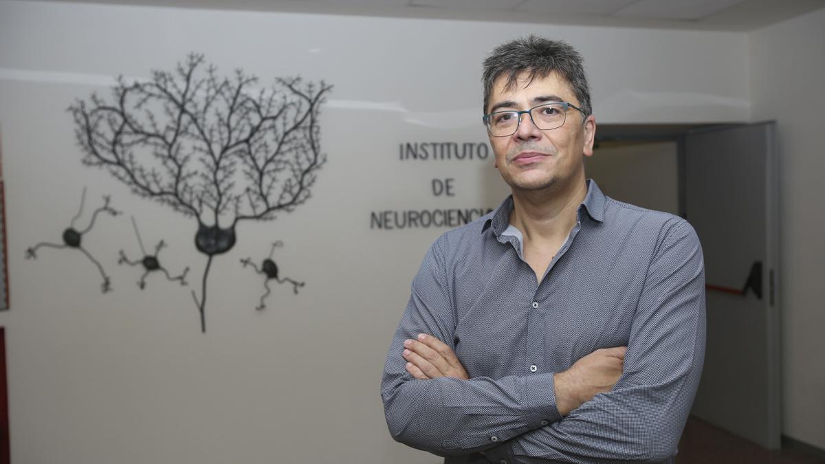 El doctor Ángel Barco, director del Instituto de Neurociencias de la UMH de Elche.