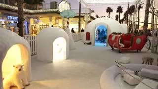 Guía de planes para esta Navidad en Málaga