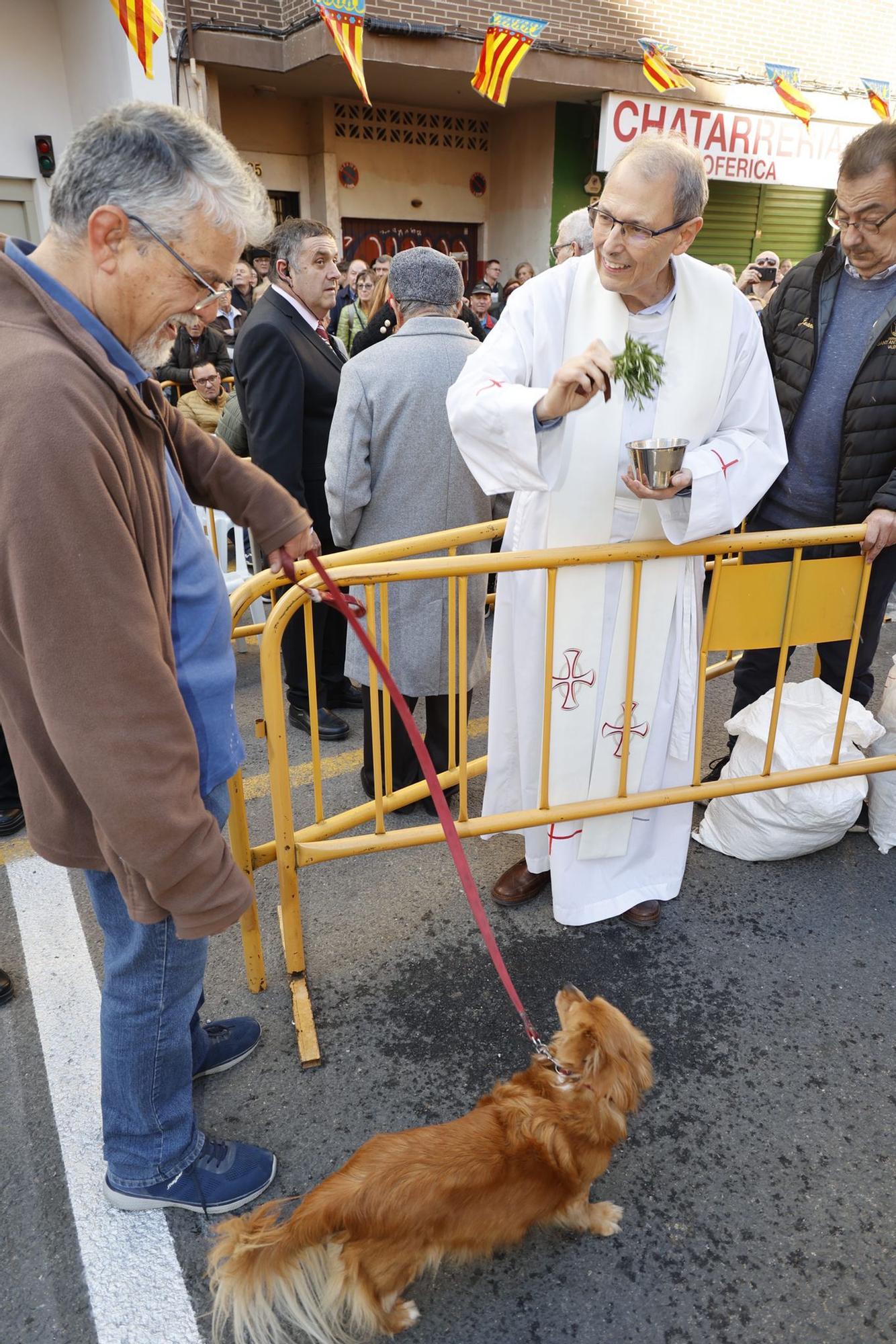 Búscate en la bendición de animales de Sant Antoni de València