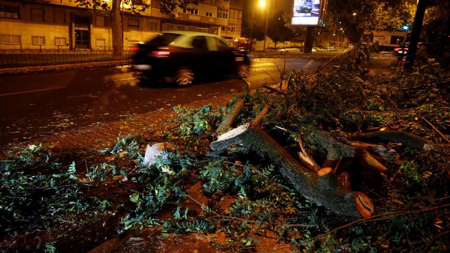 Arbres caiguts a la ciutat de Lisboa