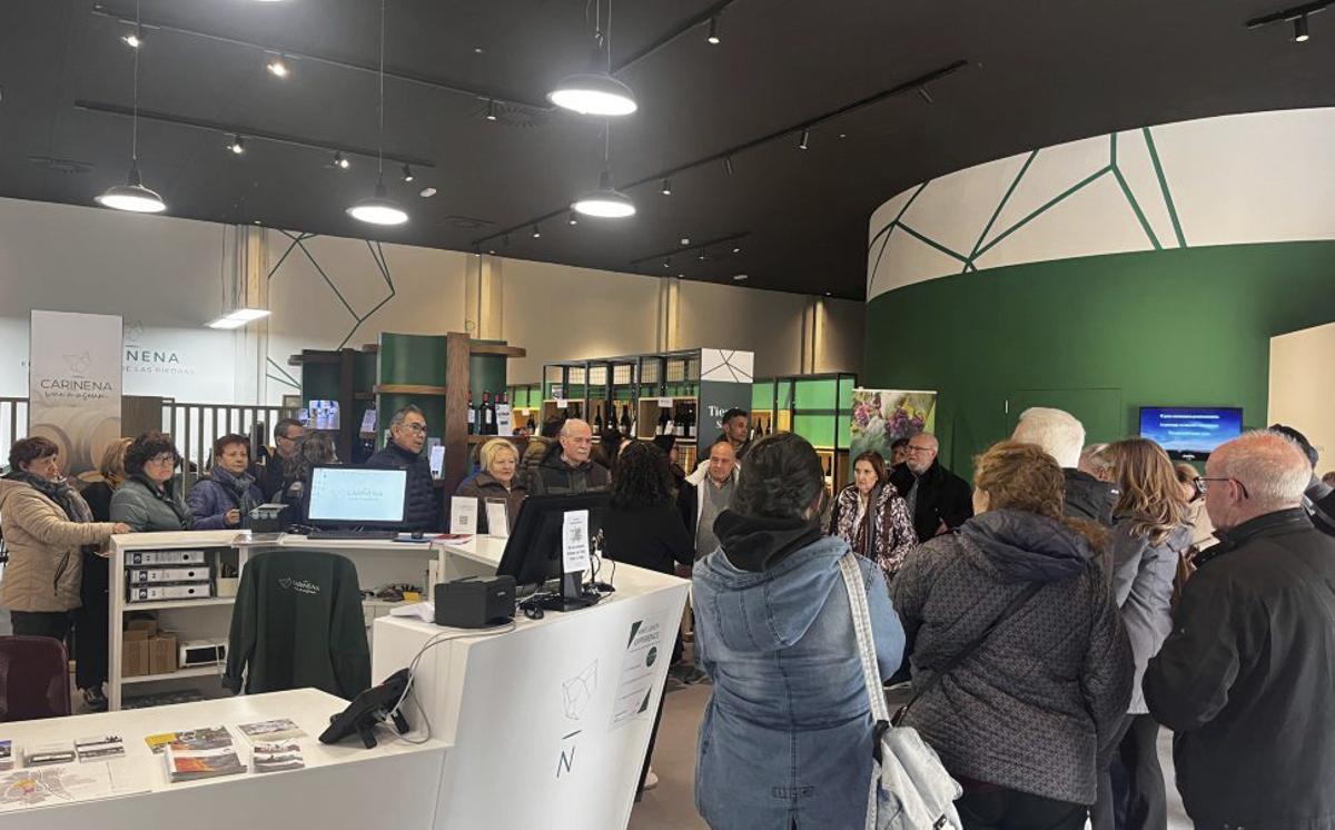 Visita del Bus al Cariñena Wine Museum. | SERVICIO ESPECIAL