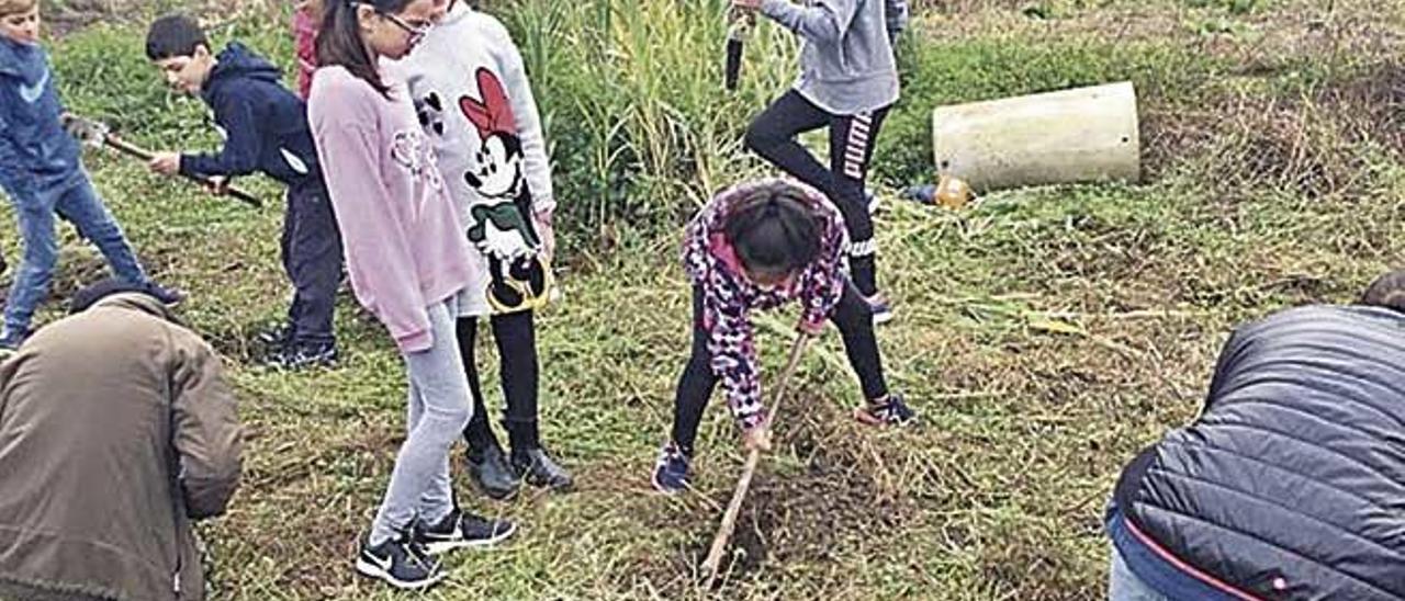 Algunos escolares trabajando en la replantaciÃ³n de Ã¡rboles.